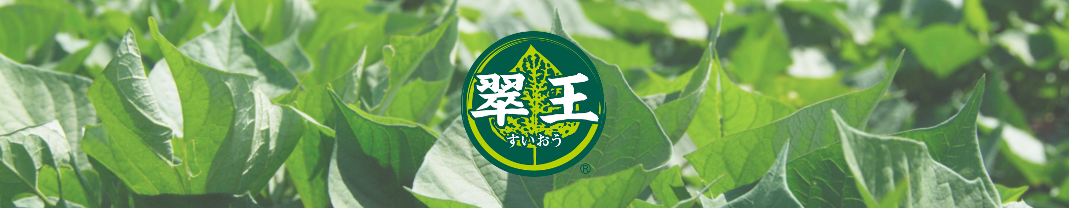 すいおう(甘藷若葉末)