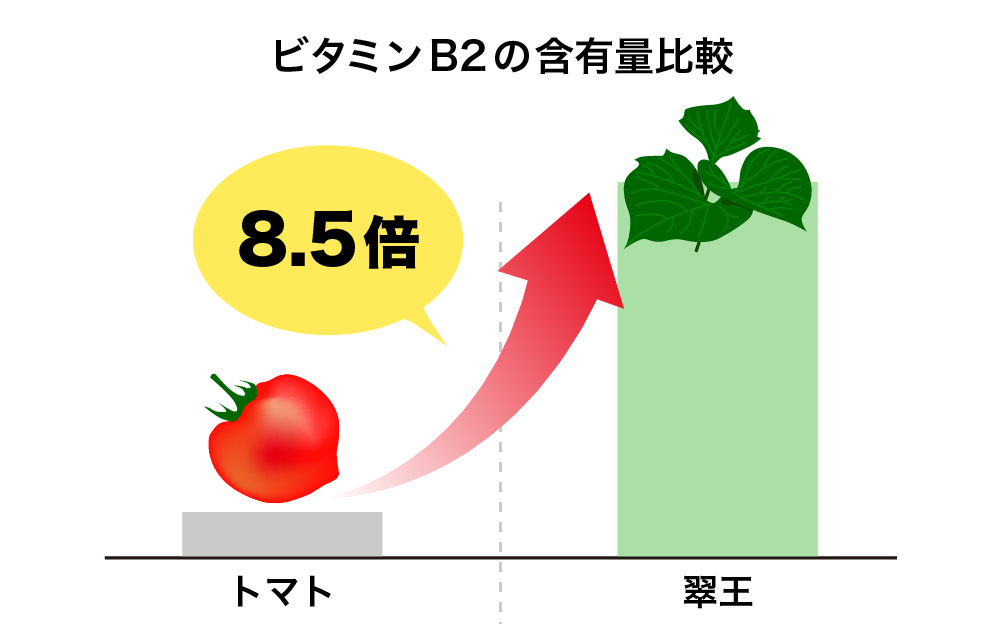 雄大な大地で育った翠王