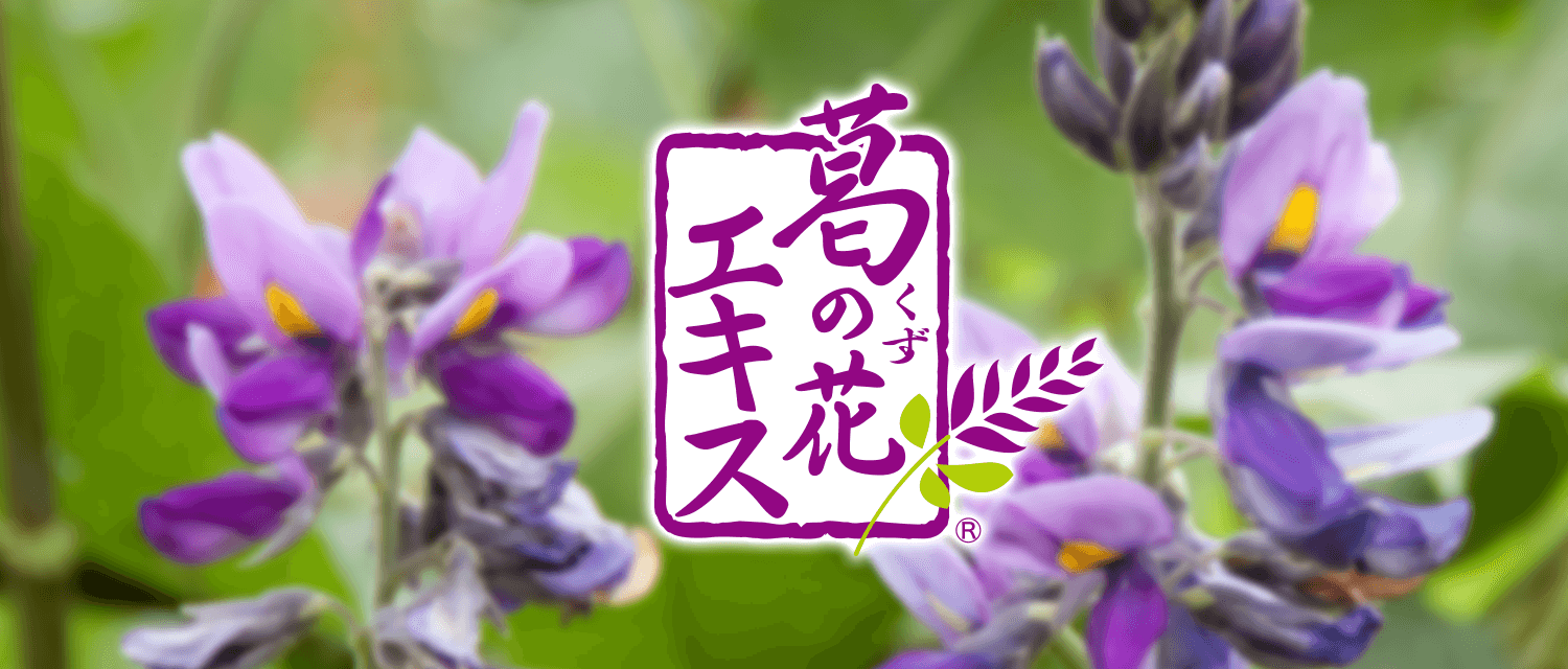 葛の花エキス 株式会社 東洋新薬