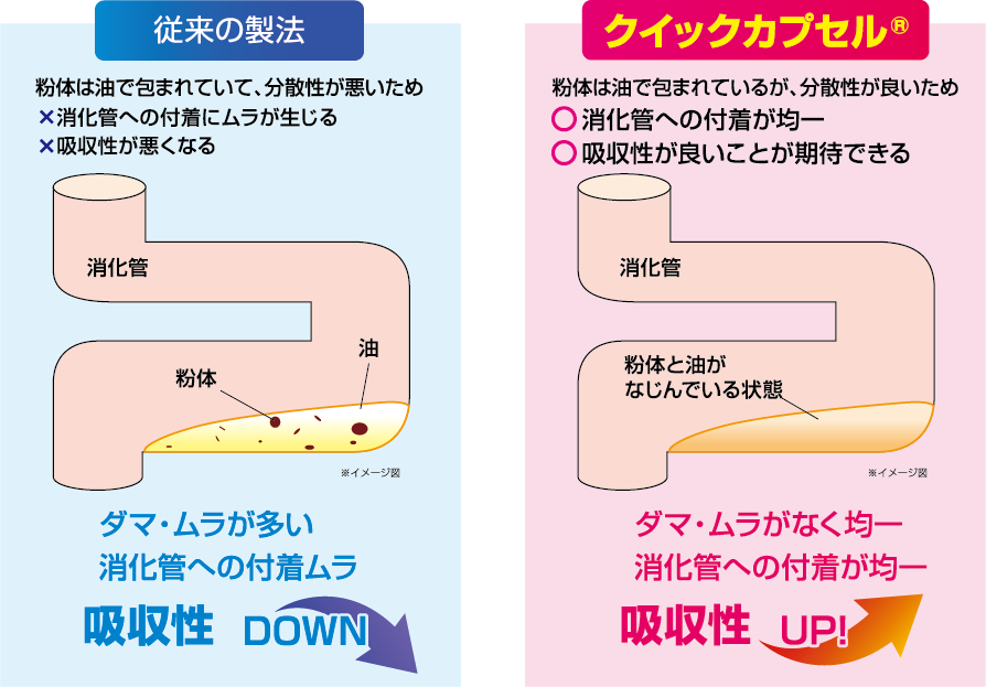 従来の製法とクイックカプセルの製法