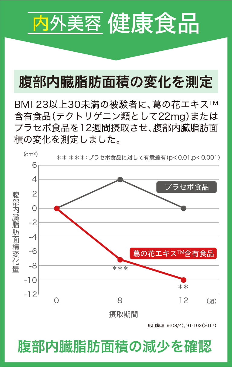 腹部内臓脂肪面積の変化を測定