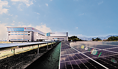 IP工場太陽光パネル